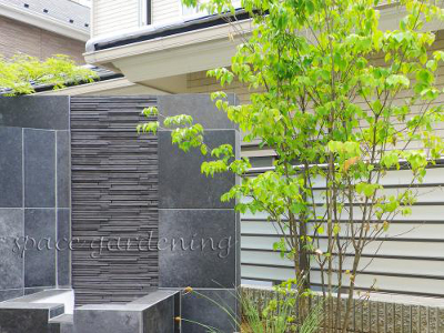 ヤマボウシはできる子です 千葉のお庭 外構専門店 お得な情報更新中 スペースガーデニング