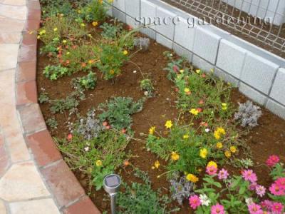 植栽　下草　ポーチュラカ　キバナコスモス