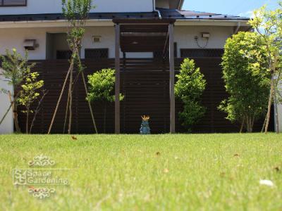 芝生は手入れ不要 じゃないの 千葉のお庭 外構専門店 お得な情報更新中 スペースガーデニング