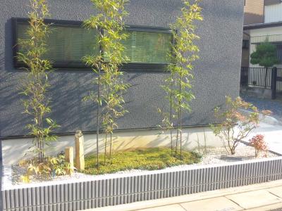 植栽で目隠し 千葉のお庭 外構専門店 お得な情報更新中 スペースガーデニング
