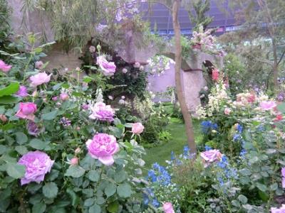 お庭に植えたい バラを引き立てる 害虫除けの植物 埼玉のお庭 外構専門店 スペースガーデニング さいたま店ブログ更新中