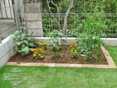 施工例検索 千葉の外構 エクステリア ガーデニングのスペースガーデニング