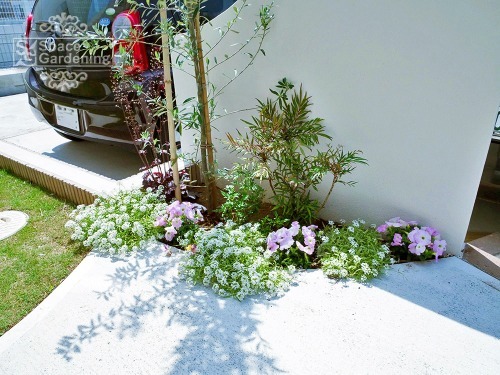 千葉 埼玉の庭 外構専門店 スペースガーデニング