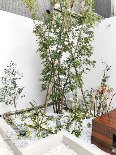 施工例検索 千葉の外構 エクステリア ガーデニングのスペースガーデニング