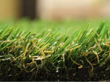 天然芝と人工芝を徹底比較