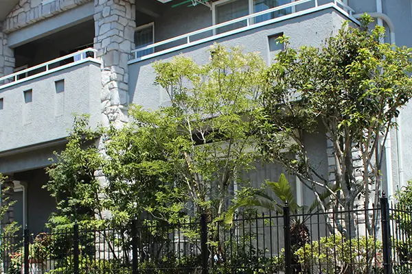植栽のイメージ