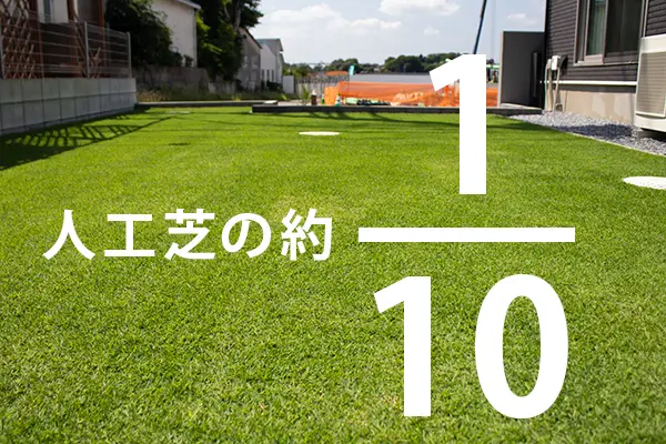 手入れをしながら育てる天然芝の庭