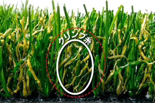 当社使用人工芝の高密度な芝葉の断面写真