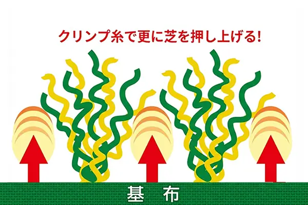 当社使用人工芝のクリンプ糸が芝を押し上げる構造図