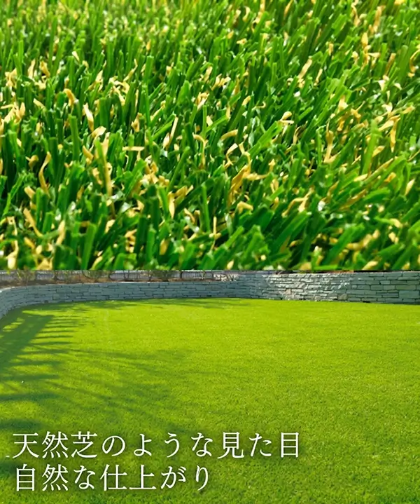 天然芝のように自然に見える当社使用人工芝の比較写真