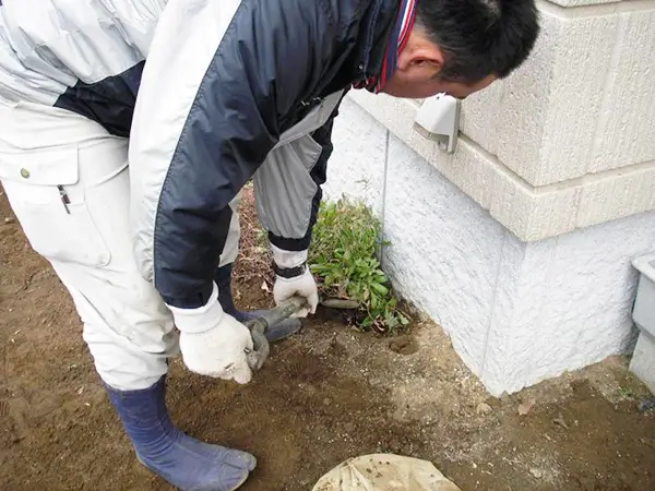 植物の移植工事の様子