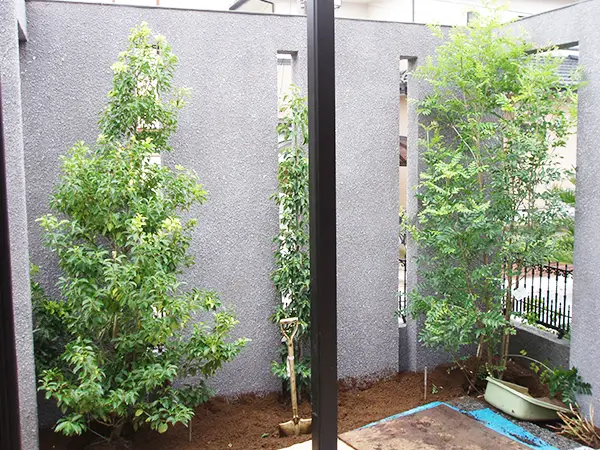 植栽工事の様子