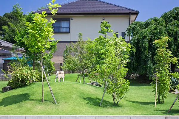 人工芝を敷いた手入れのしやすい庭