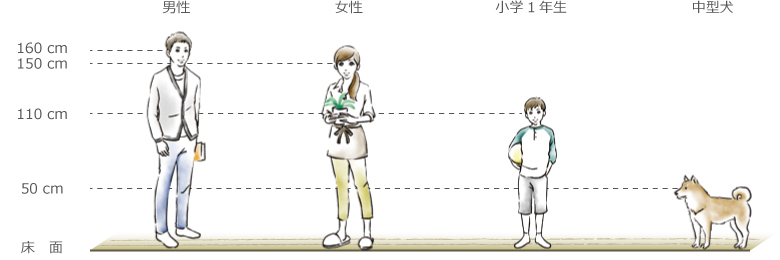 男性と女性とお子様とでは身長が違うので目線の高さが異なります