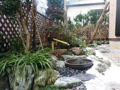 ウォーターガーデン_蹲(つくばい)