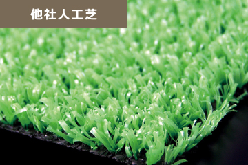 千葉の庭 人工芝