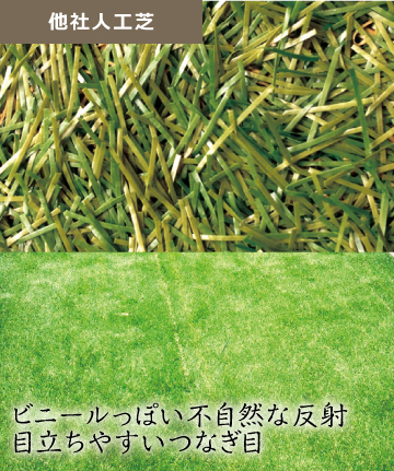 千葉の庭 人工芝