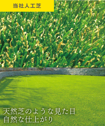 千葉の庭 人工芝