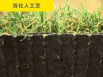 千葉の庭 人工芝