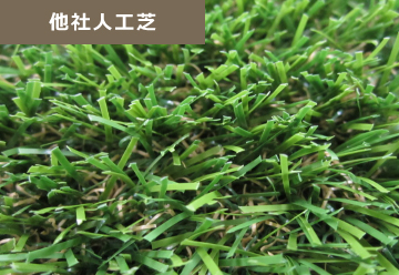 千葉の庭 人工芝