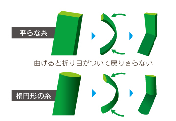 千葉の庭 人工芝
