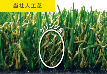 千葉の庭 人工芝
