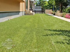 千葉の庭 人工芝