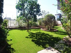 千葉の庭 人工芝