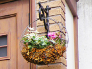 おしゃれ カンナ物置の人気オプション_フラワーハンガー