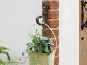 おしゃれ カンナ物置の人気オプション_ミニフック