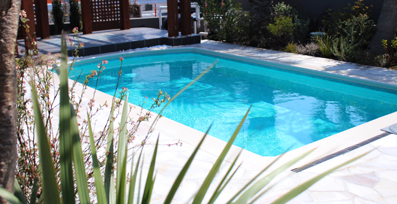 千葉 庭 プール